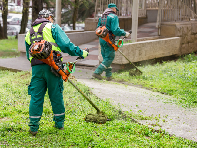 Entretien des espaces verts